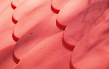 Roecliffe plastic roof costs