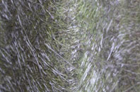 Roecliffe fibreglass roof work